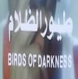 The birds of darkness